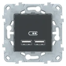 Розетка Schneider Electric 2xUSB UNICA NEW, скрытый монтаж, антрацит, NU541854