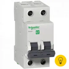 Автомат.выкл. 2P 63А Schneider Electric